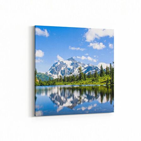 Olla 14398K Doğa / Manzara Görseli Kare Kanvas Tablo (Ölçü: 30X30)