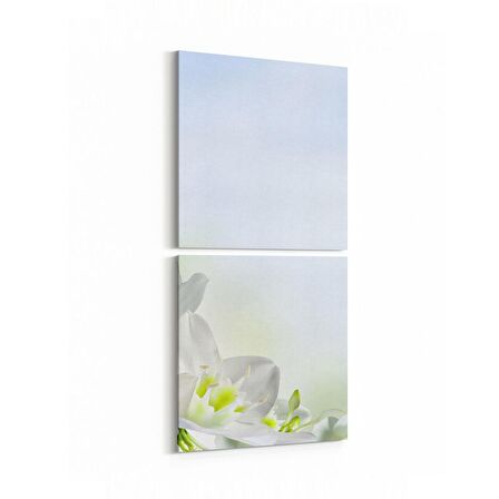 Olla 11697K2D Orkide Çiçek Görseli Kare 2'li Dikey Kanvas Tablo (Ölçü: 30X65)