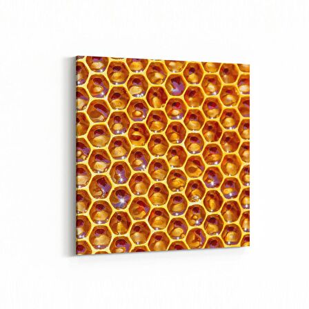 Olla 10014K Abstract 3 Boyut Görsel Kare Kanvas Tablo (Ölçü: 25X25)