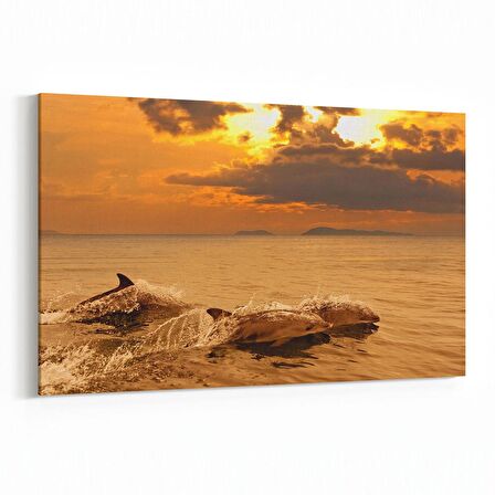 Olla 12695Y Hayvanlar Alemi Görseli Yatay Kanvas Tablo (Ölçü: 120X80)