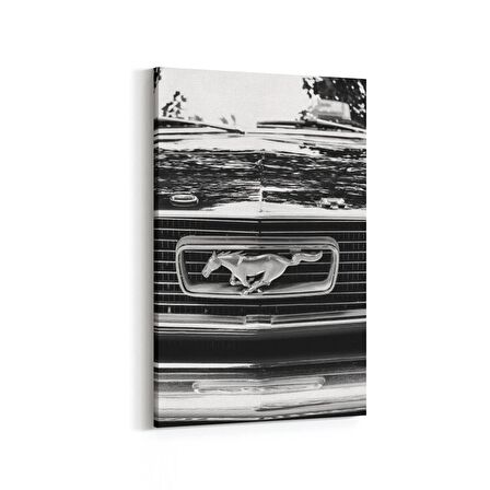 Olla 12401D Araç Görseli Dikey Kanvas Tablo (Ölçü: 100X150)