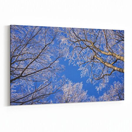 Olla 11014Y Ağaç Görseli Yatay Kanvas Tablo (Ölçü: 150X100)