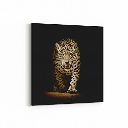 Olla 12477K Hayvanlar Alemi Görseli Kare Kanvas Tablo (Ölçü: 30X30)