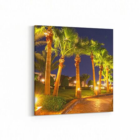 Olla 13671K Doğa / Manzara Görseli Kare Kanvas Tablo (Ölçü: 60X60)