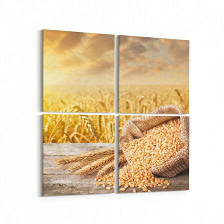 Olla 15253K4 Gıda Görseli Kare 4'lü Kanvas Tablo (Ölçü: 65X65)