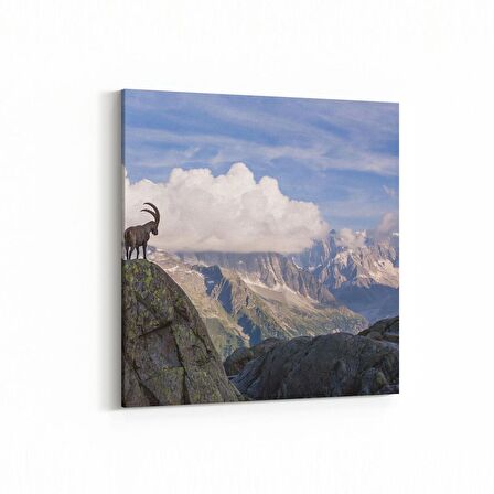 Olla 13218K Doğa / Manzara Görseli Kare Kanvas Tablo (Ölçü: 60X60)