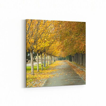 Olla 13525K Doğa / Manzara Görseli Kare Kanvas Tablo (Ölçü: 25X25)