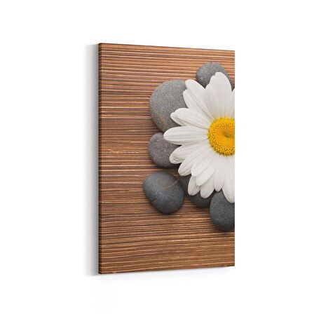 Olla 17052D Spa / Masaj Görseli Dikey Kanvas Tablo (Ölçü: 20X30)