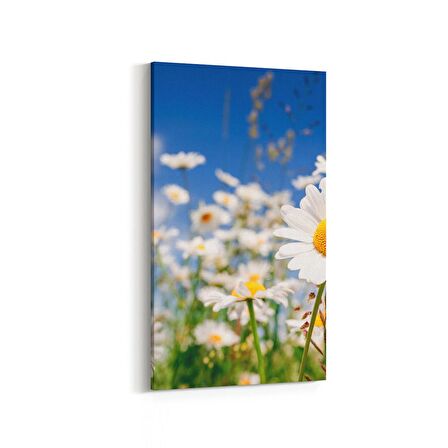 Olla 13544DD Doğa / Manzara Görseli Dikey Dar Kanvas Tablo (Ölçü: 40X80)