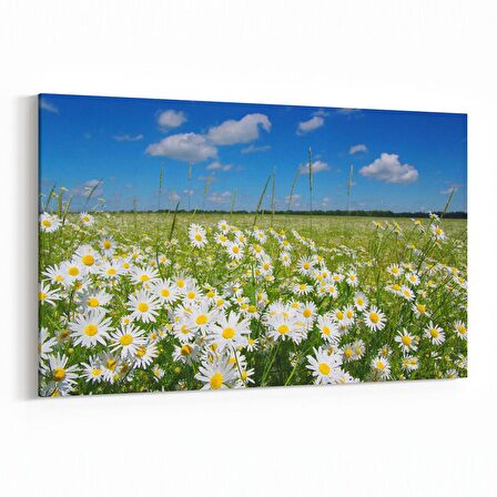 Olla 13739Y Doğa / Manzara Görseli Yatay Kanvas Tablo (Ölçü: 90X60)