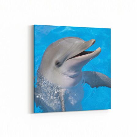 Olla 12890K Deniz / Okyanus Görseli Kare Kanvas Tablo (Ölçü: 25X25)