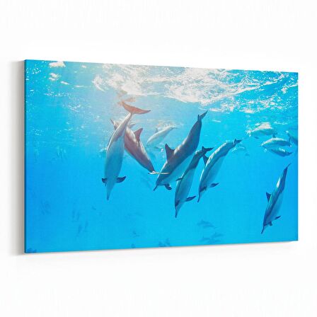 Olla 12865Y Deniz / Okyanus Görseli Yatay Kanvas Tablo (Ölçü: 30X20)