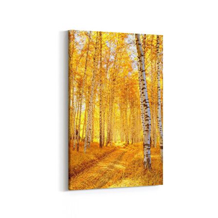 Olla 14572D Doğa / Manzara Görseli Dikey Kanvas Tablo (Ölçü: 100X150)