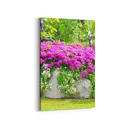 Olla 13213D Doğa / Manzara Görseli Dikey Kanvas Tablo (Ölçü: 20X30)
