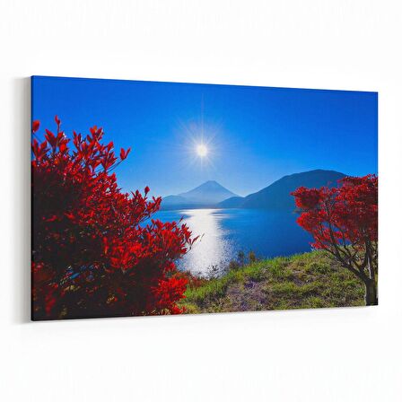 Olla 13716Y Doğa / Manzara Görseli Yatay Kanvas Tablo (Ölçü: 90X60)