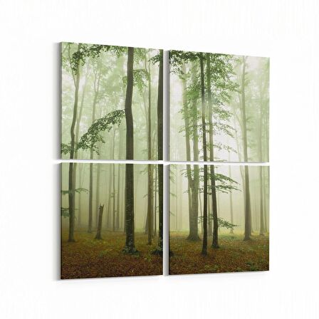 Olla 14290K4 Doğa / Manzara Görseli Kare 4'lü Kanvas Tablo (Ölçü: 145X145)