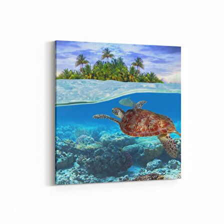 Olla 12985K Deniz / Okyanus Görseli Kare Kanvas Tablo (Ölçü: 25X25)