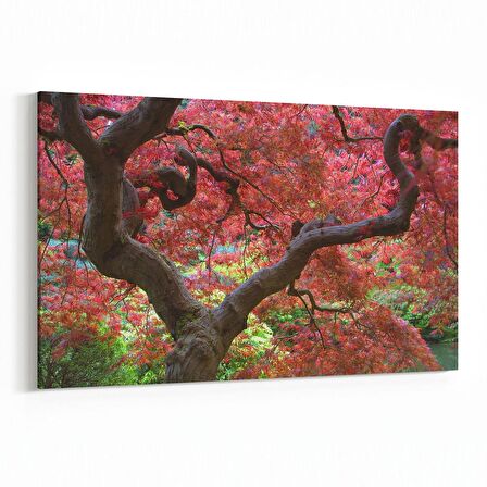 Olla 14223Y Doğa / Manzara Görseli Yatay Kanvas Tablo (Ölçü: 30X20)