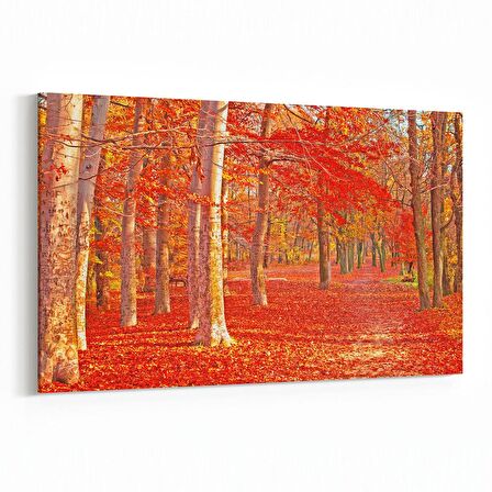 Olla 13553Y Doğa / Manzara Görseli Yatay Kanvas Tablo (Ölçü: 30X20)