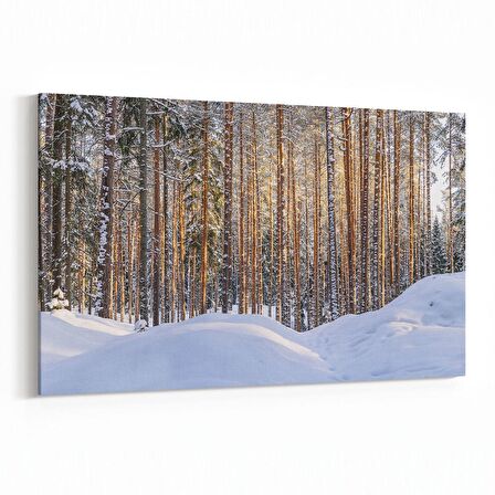 Olla 13533Y Doğa / Manzara Görseli Yatay Kanvas Tablo (Ölçü: 45X30)