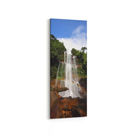 Olla 13240DI Doğa / Manzara Görseli Dikey İnce Kanvas Tablo (Ölçü: 40X120)