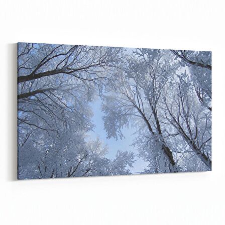 Olla 10505Y Ağaç Görseli Yatay Kanvas Tablo (Ölçü: 45X30)