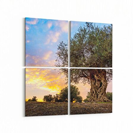 Olla 14373K4 Doğa / Manzara Görseli Kare 4'lü Kanvas Tablo (Ölçü: 125X125)