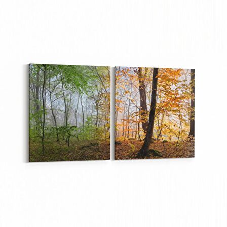 Olla 13704K2Y Doğa / Manzara Görseli Kare 2'li Yatay Kanvas Tablo (Ölçü: 125X60)