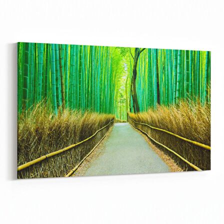 Olla 14071Y Doğa / Manzara Görseli Yatay Kanvas Tablo (Ölçü: 150X100)