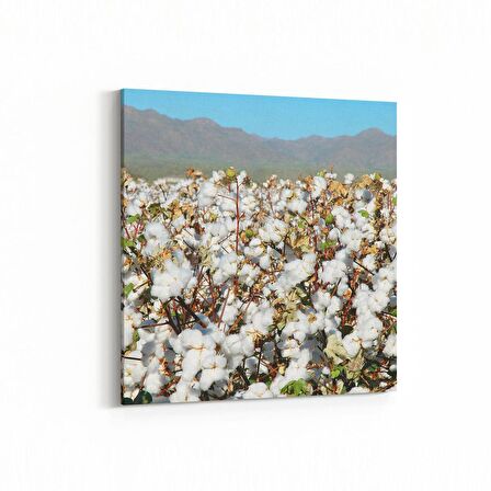 Olla 13562K Doğa / Manzara Görseli Kare Kanvas Tablo (Ölçü: 30X30)