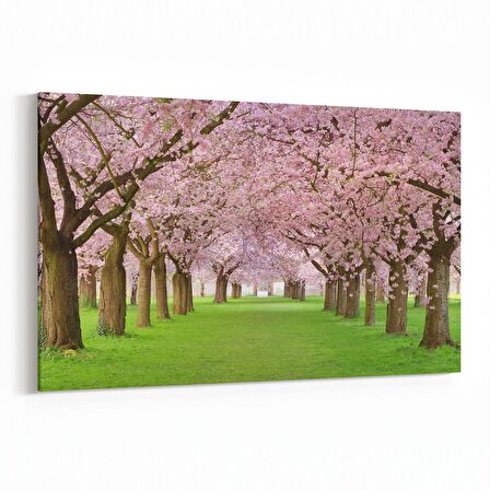 Olla 14054Y Doğa / Manzara Görseli Yatay Kanvas Tablo (Ölçü: 150X100)