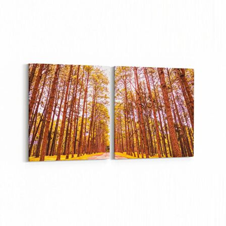 Olla 14101K2Y Doğa / Manzara Görseli Kare 2'li Yatay Kanvas Tablo (Ölçü: 125X60)