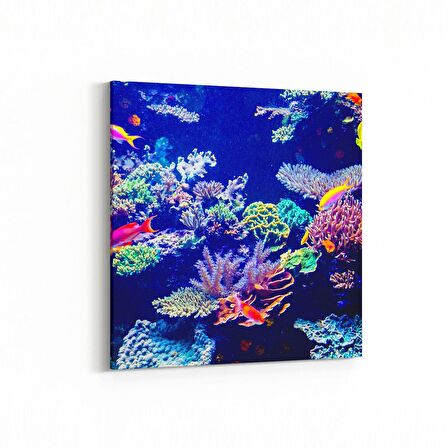 Olla 12119K Akvaryum / Balık Görseli Kare Kanvas Tablo (Ölçü: 30X30)