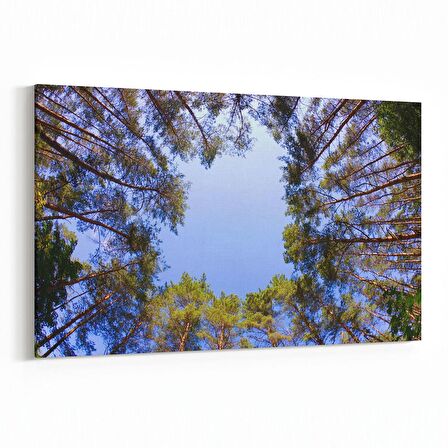 Olla 11042Y Ağaç Görseli Yatay Kanvas Tablo (Ölçü: 120X80)