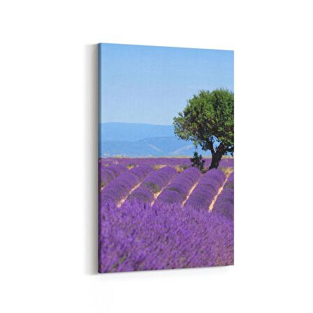 Olla 13582D Doğa / Manzara Görseli Dikey Kanvas Tablo (Ölçü: 100X150)
