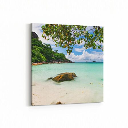 Olla 14051K Doğa / Manzara Görseli Kare Kanvas Tablo (Ölçü: 30X30)