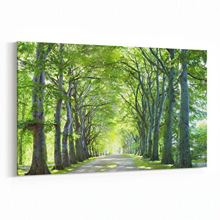 Olla 13234Y Doğa / Manzara Görseli Yatay Kanvas Tablo (Ölçü: 30X20)