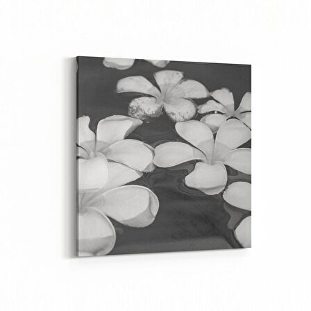 Olla 17076K Spa / Masaj Görseli Kare Kanvas Tablo (Ölçü: 25X25)