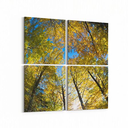 Olla 10883K4 Ağaç Görseli Kare 4'lü Kanvas Tablo (Ölçü: 65X65)