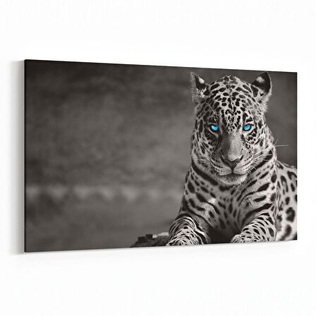 Olla 12490Y Hayvanlar Alemi Görseli Yatay Kanvas Tablo (Ölçü: 30X20)