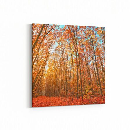 Olla 13239K Doğa / Manzara Görseli Kare Kanvas Tablo (Ölçü: 25X25)