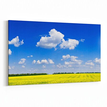 Olla 14514Y Doğa / Manzara Görseli Yatay Kanvas Tablo (Ölçü: 45X30)