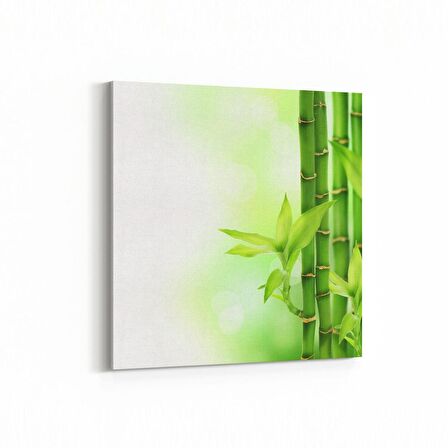 Olla 17079K Spa / Masaj Görseli Kare Kanvas Tablo (Ölçü: 25X25)