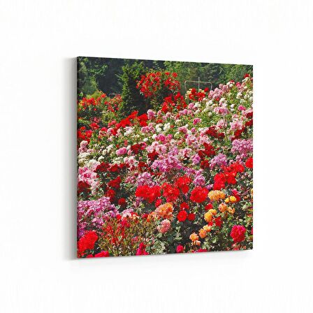 Olla 11575K Çiçek Görseli Kare Kanvas Tablo (Ölçü: 25X25)