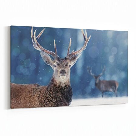 Olla 12496Y Hayvanlar Alemi Görseli Yatay Kanvas Tablo (Ölçü: 120X80)