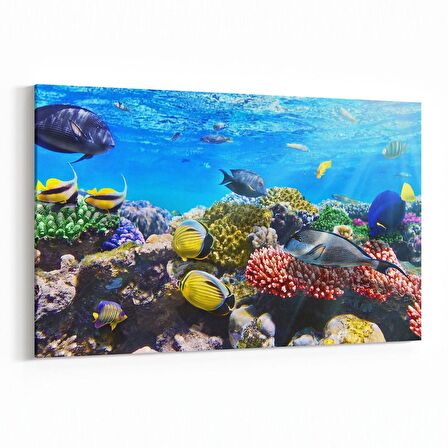 Olla 12074Y Akvaryum / Balık Görseli Yatay Kanvas Tablo (Ölçü: 45X30)
