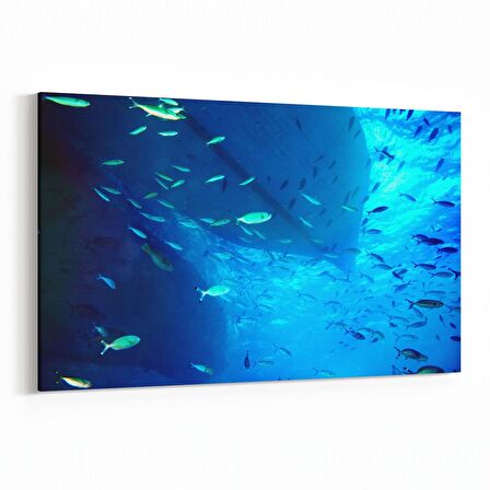 Olla 12891Y Deniz / Okyanus Görseli Yatay Kanvas Tablo (Ölçü: 45X30)