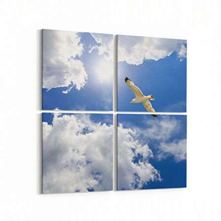 Olla 15832K4 Gökyüzü Kuşlar Görseli Kare 4'lü Kanvas Tablo (Ölçü: 145X145)