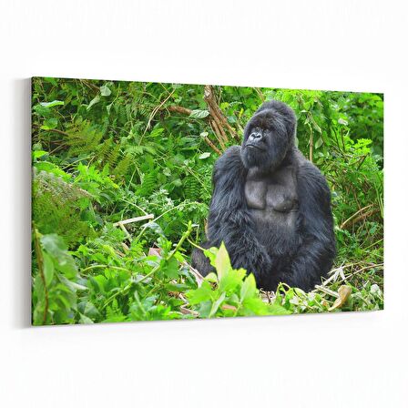 Olla 12630Y Hayvanlar Alemi Görseli Yatay Kanvas Tablo (Ölçü: 70X50)