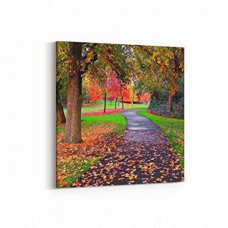 Olla 13421K Doğa / Manzara Görseli Kare Kanvas Tablo (Ölçü: 40X40)